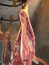 Свинина (полутуши, бекон)