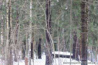 Лесной участок в стародачном посёлке на Рублёвке по разумной цене
