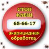 Уничтожение клещей - акарицидная обработка