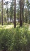 Земельные участки