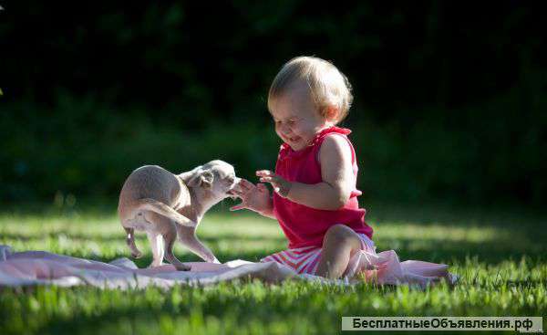 Безопасные средства для чистоты дома