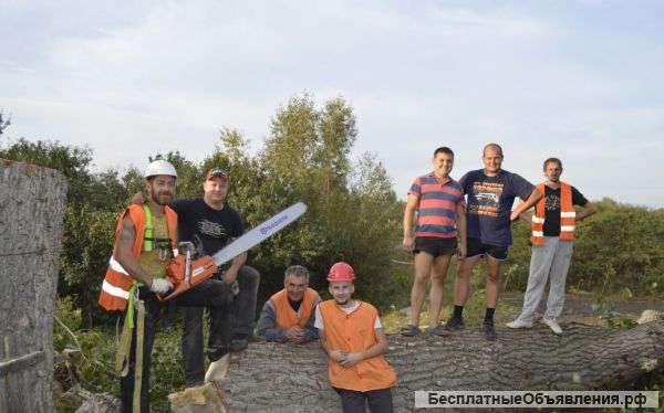 Расчистка участков, удаление деревьев