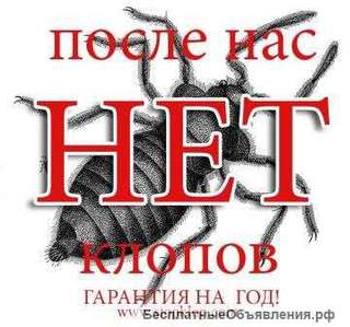 Дезинфекция в Мсокве