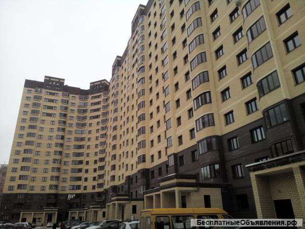 Хорошую однушку в новостройке