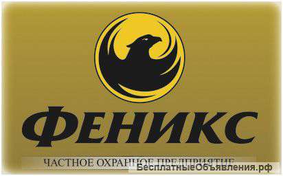 Чоп 2005г