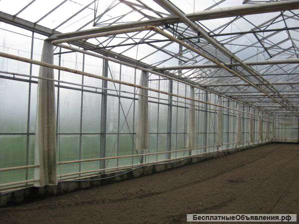 Теплицы из Голландии