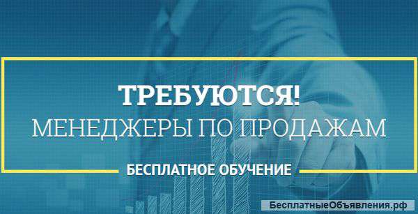 Менеджер по продажам