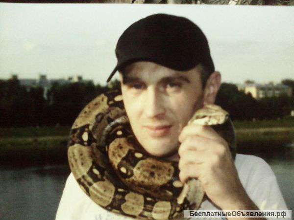 Ищю работу водителем