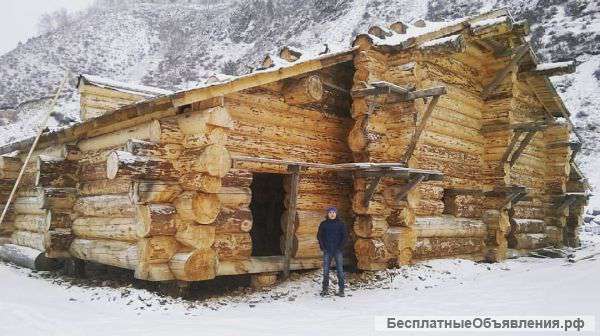 Срубы из кедра