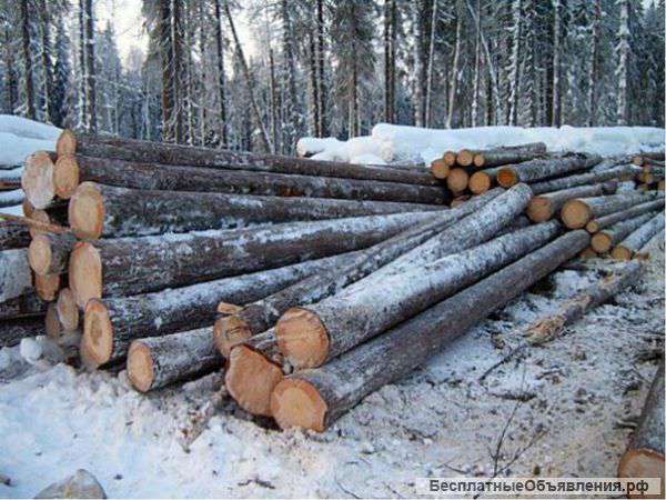 Лес кругляк