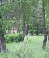 Шикарный земельный участок 15 соток в пгт. Хорлово