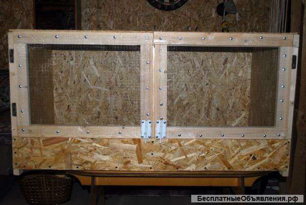 Брудер для птиц