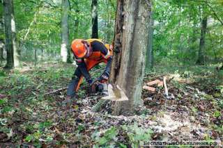 Полный комплекс услуг в благоустройстве участка