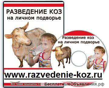 Козоводство - Ваш домашний бизнес