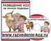 Козоводство - Ваш домашний бизнес