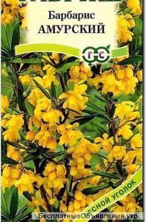 Насіння барбарису «Амурський», ТМ «ГАВРИШ» - 0,2 грама