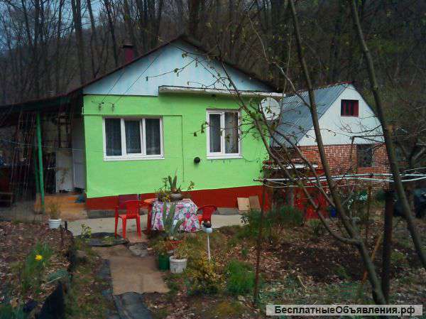 Дом с баней и участком