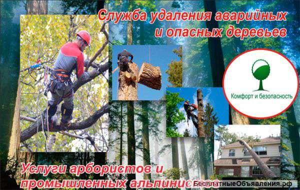 Удаление опасных деревьев