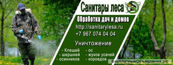 Обработка дачного участка от клещей,комаров,ос,мышей в Подольске