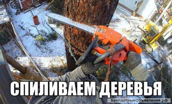 Спилить деревья в Москве