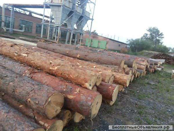 Кругляк лес