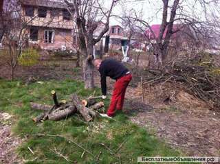 Уборка садовых участков и прилегающей территории