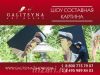 Шоу танцующий художник-составная картина в Белгороде