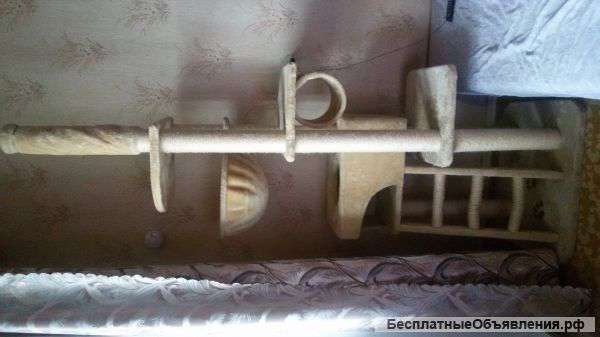 Когтеточку