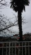 1 комнатная квартира в Сочи,на Светлане