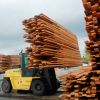 Компания Северный Лес - пиломатериалы оптом от производителя в Москве