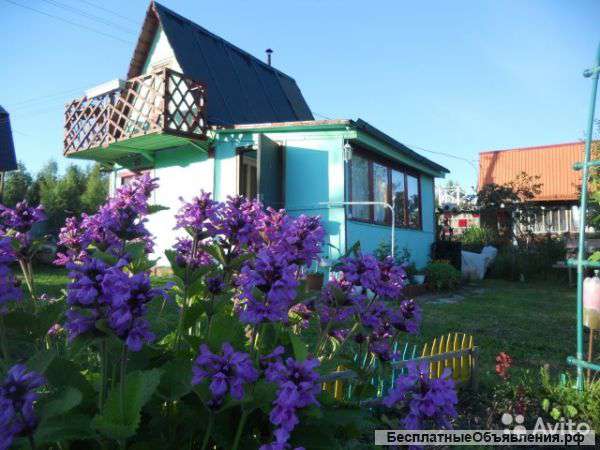 Дача 40 м2 на участке 6 сот