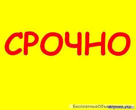 Сниму 3-4 комнатную квартиру