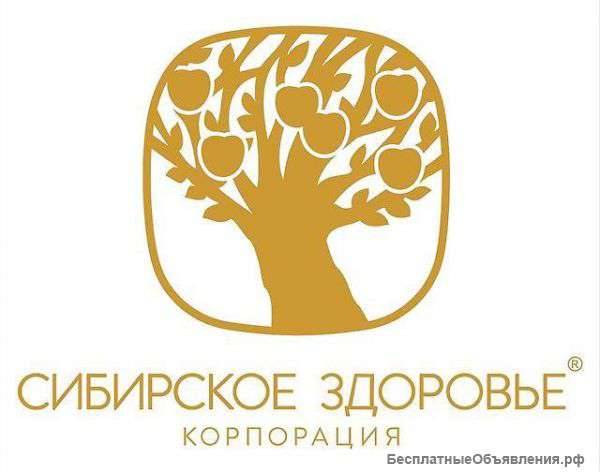 Менеджер в новую компанию