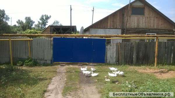 Дом