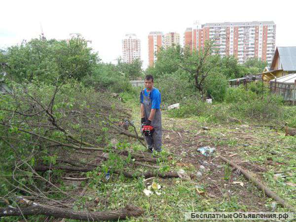 Помощь по дачному участку