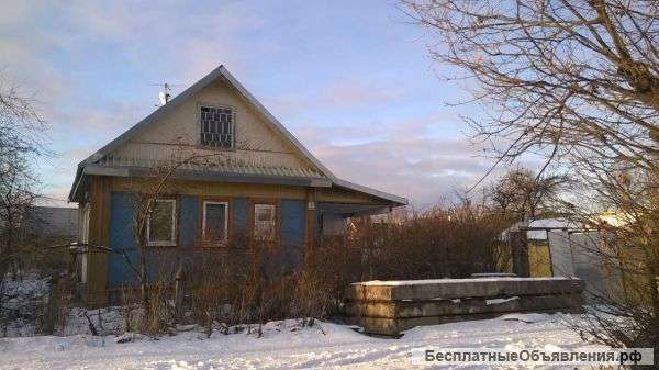 Зимний дом 50 кв.м