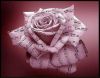 Дикция и артикуляция.Cgtwbfkbcn