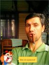 Грузовые перевозки