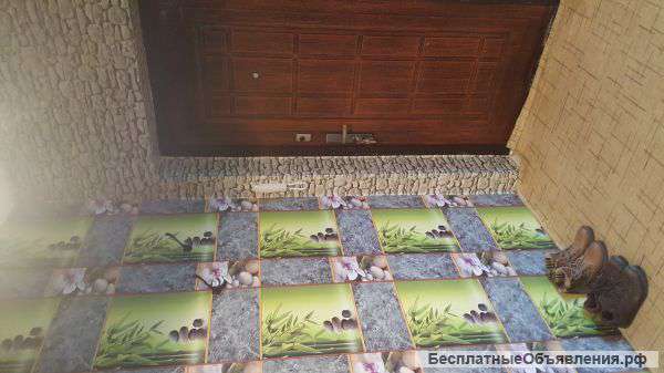 Сдам на длительный срок 1 квартиру в Северном