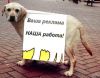 Печать и Распространение