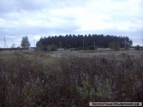 Земельный участок в с. Хотеичи