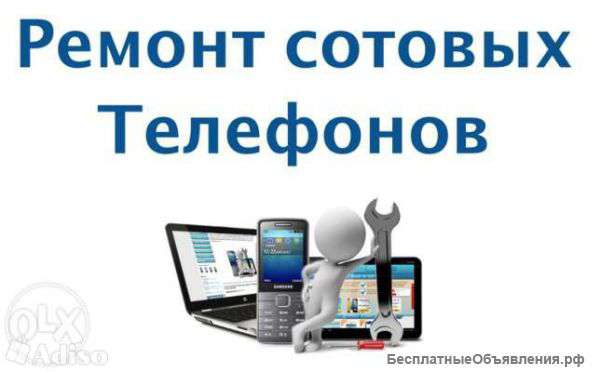 Ремонт iPhone iPad iPod