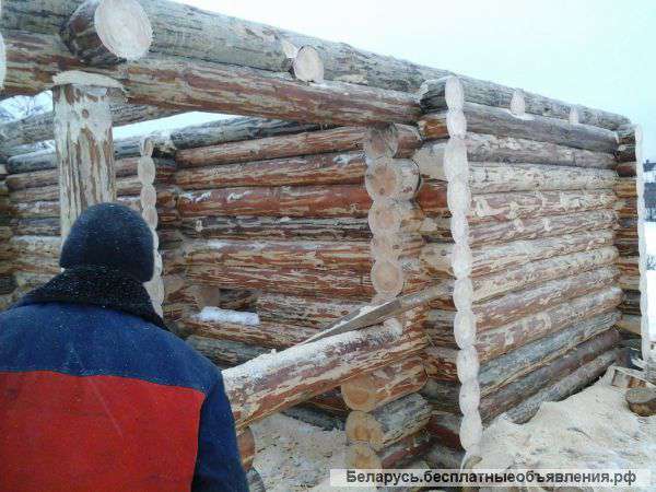 Строительство деревянных домов, бань, беседок