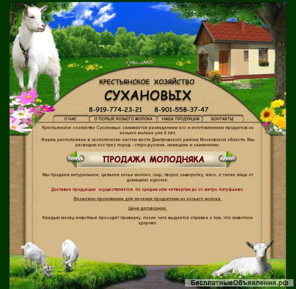 Создание сайтов по индивидуальному проекту