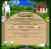 Создание сайтов по индивидуальному проекту