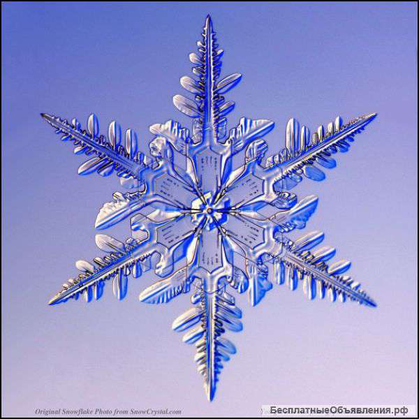 Ремонт холодильников в Подольске