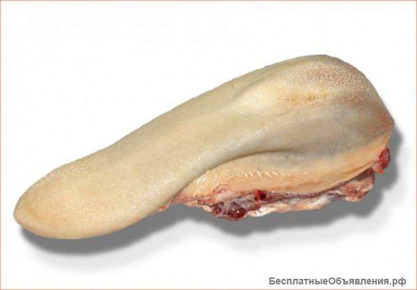 Говяжий язык (местный)