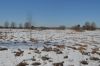 Участок д.Клементьево,Можайский р-н.