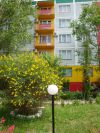 Действующего отеля в Крыму на 250 мест