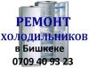 Ремонт холодильников в Бишкеке вызов на дом